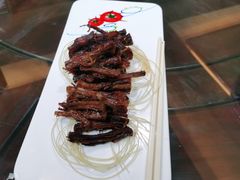 -中苑海韵