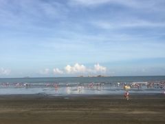 -台山黑沙湾海浴场