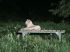 -大连森林动物园