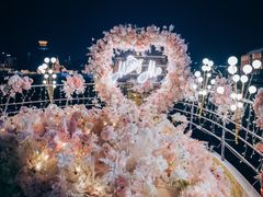 -InParty·游艇求婚策划生日派对布置(世纪大道店)