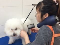-艾贝尔宠物医院 ·内科全科(梁溪路店)