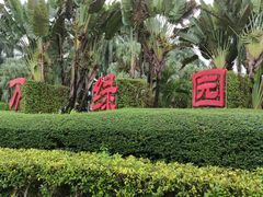 -万绿园