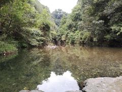 -祁门牯牛降观音堂风景区