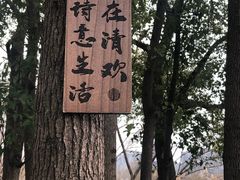 -长兴太湖图影湿地文化园