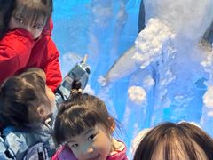 -海合安成都极地海洋公园