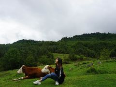 -硗碛藏寨·神木垒景区