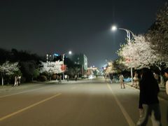 -江南大学(蠡湖校区)