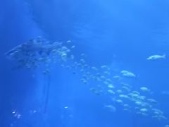 -南昌融创海世界