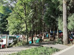 -武陵山森林公园