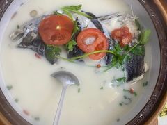 -全乐鱼馆·淳牌有机鱼直营店