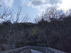 -福道