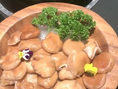 -季季山·云南野生菌火锅(上海首店)
