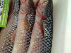 -渔香海鲜餐馆