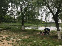 -东郊湿地公园