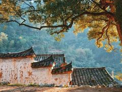 -杨家堂村