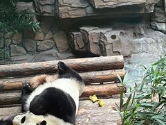 -济南野生动物世界