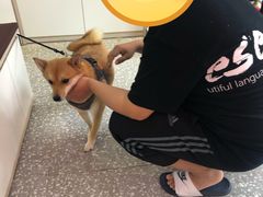 -宠物家(角门东店)