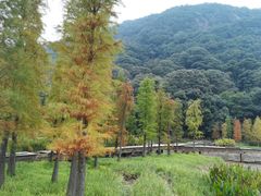 -广州市石门国家森林公园