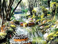 -上海共青森林公园