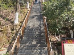 -云碧峰国家森林公园