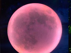 -天津梵高星空艺术馆(天河城旗舰店)