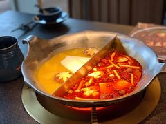 台式麻辣花胶鸡鸳鸯锅-湊湊火锅·茶憩(世博大道店)