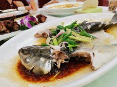 -海晖酒楼·顺德鱼生(荣华店)