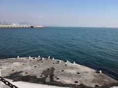 -星海湾跨海大桥