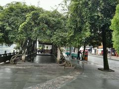 -溪口-滕头旅游景区