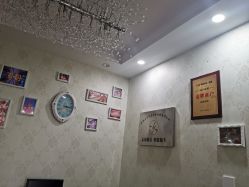 -蚂蚁婚车