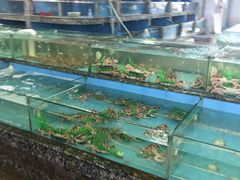 水产区-华威西营里农产品批发市场