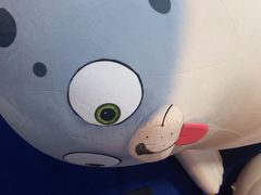 -海合安青岛极地海洋公园