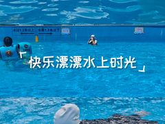 -杭州浪浪浪水公园