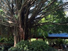 -金山公园