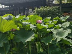 -清晏园