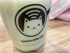 -楼上猫咖(罗湖店)