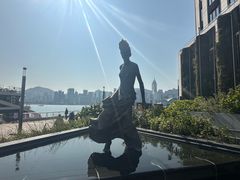 -星光大道