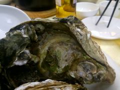 桑拿蠔-天宝食坊·啫啫煲大排档(西华路店)