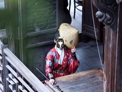 -汉仪华裳汉服旗袍·摄影写真馆(乌镇西栅店)