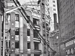 -小杨生煎(黄河路店)