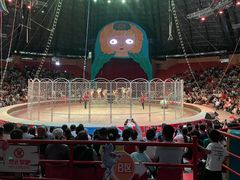 -俄罗斯国家大马戏团