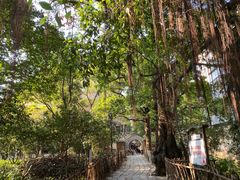 -小洲村