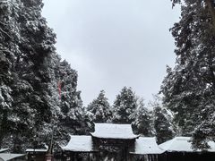 -青城山