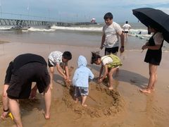 -日照海滨国家森林公园