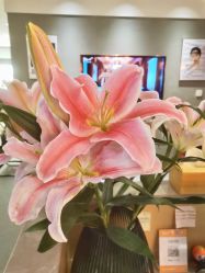 -FineYoga梵音瑜伽·普拉提