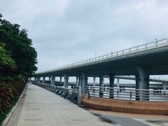 -演武大桥观景平台