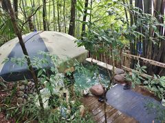 -花水湾第一村温泉大酒店