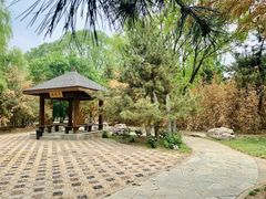 -大兴滨河森林公园