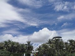 -味餐厅·海鲜·火锅·自助餐