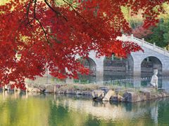 -九龙潭景区